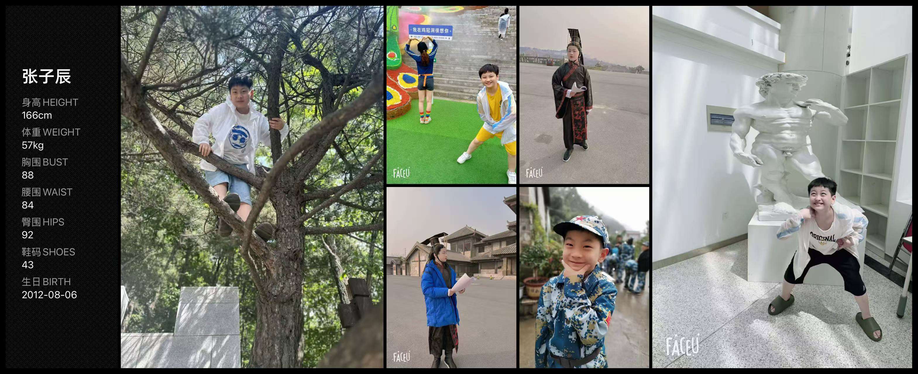 张子辰